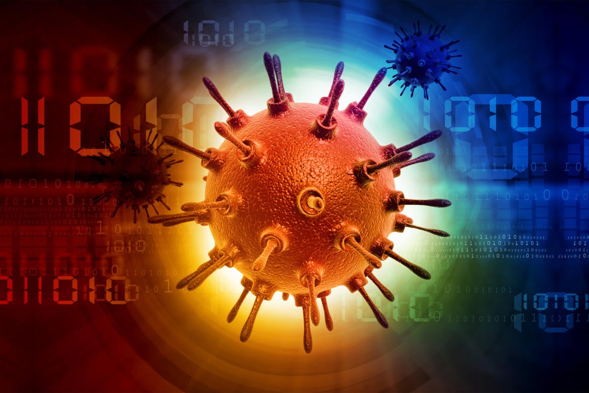 Indian hackers accidentally infected their own computer with their own virus